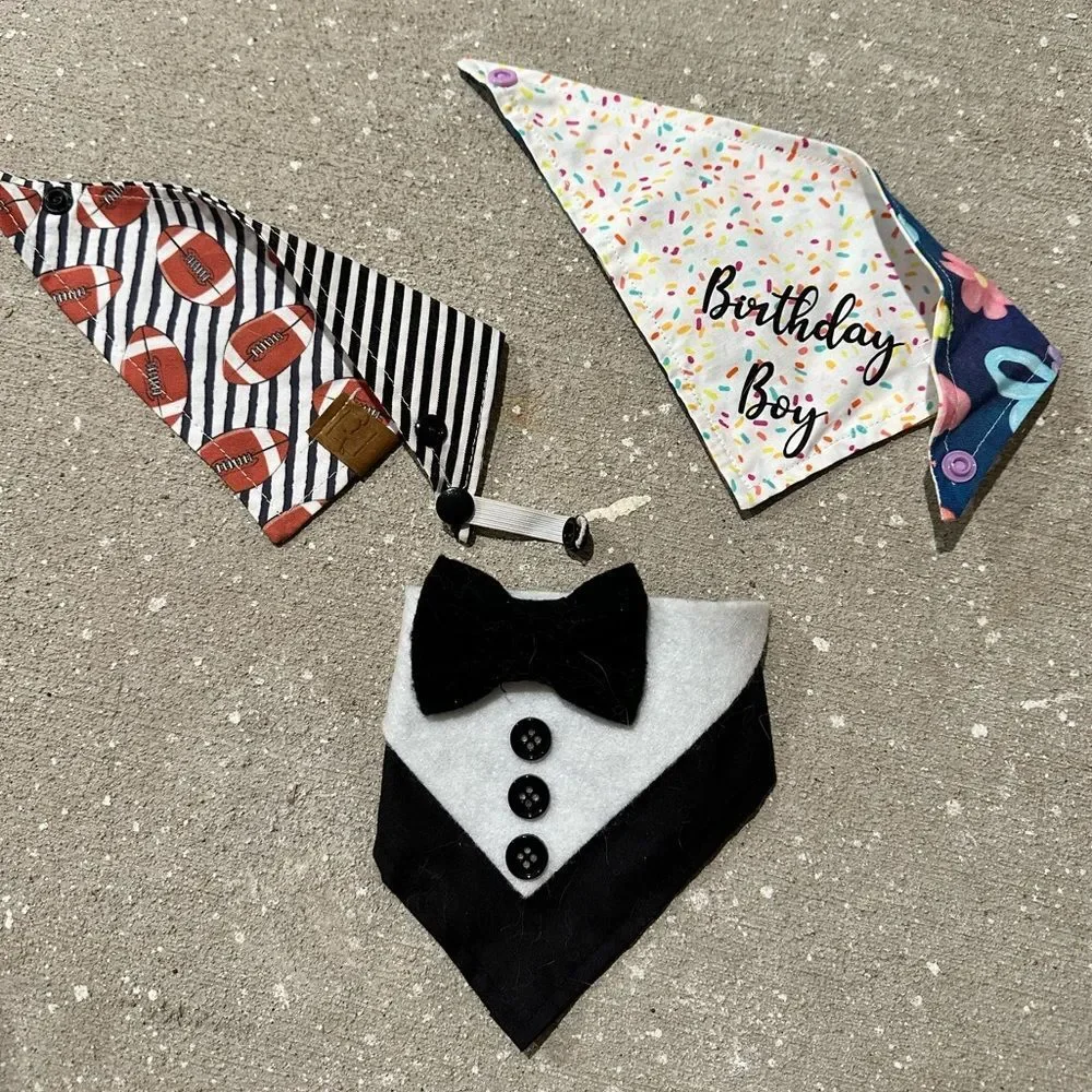 Special occasion cat bandanas